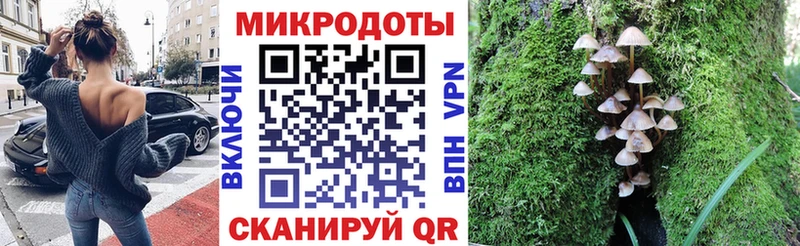 Псилоцибиновые грибы Psilocybine cubensis  хочу   Неман 